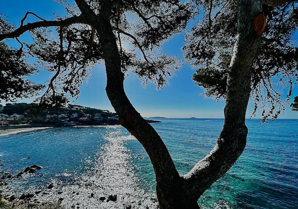 Escapade Au Coeur De Sanary Leilighet Eksteriør bilde