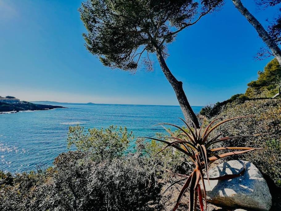 Escapade Au Coeur De Sanary Leilighet Eksteriør bilde